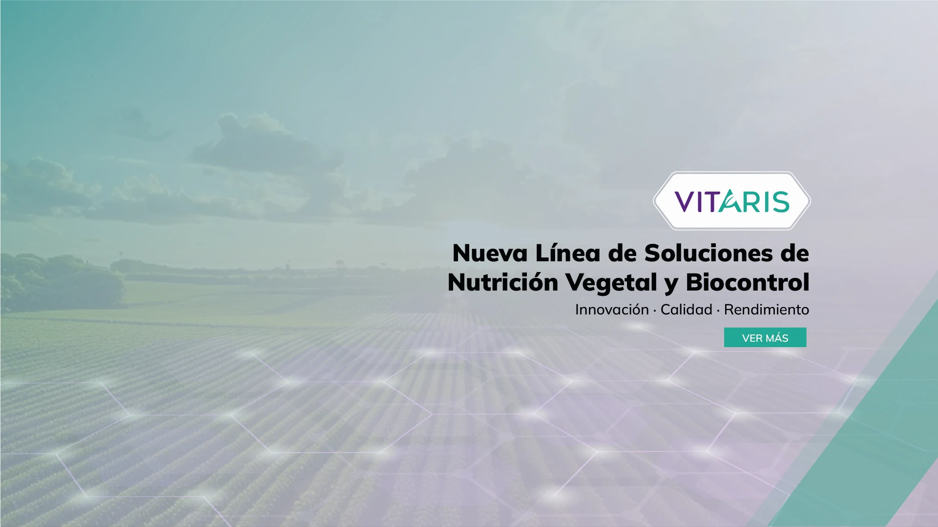 Banner-Home-H-(ES)VITARIS