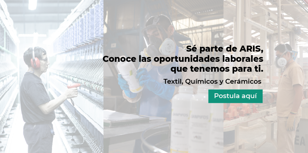 OPCION 1 WEB